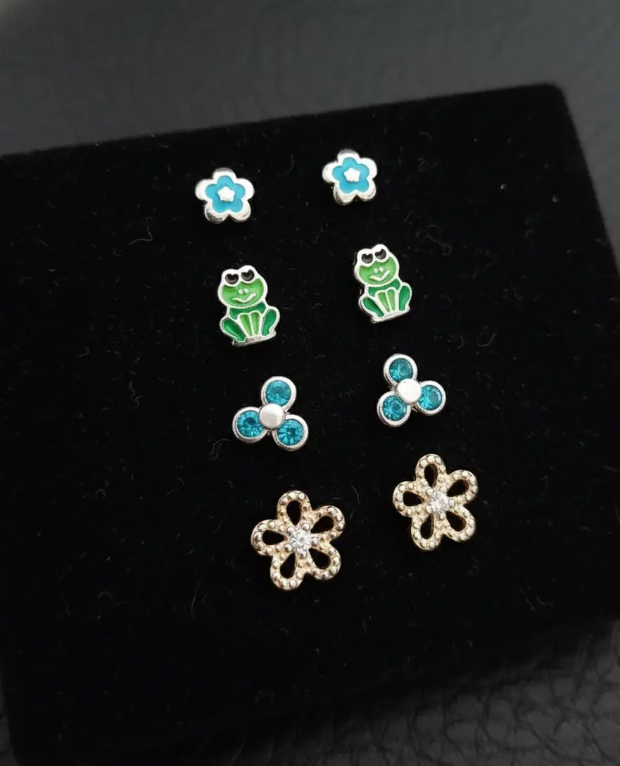 Vista de Estuche de Topos Plata 925 - 4 Pares Temáticos